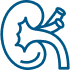 Advanced Kidney Function
