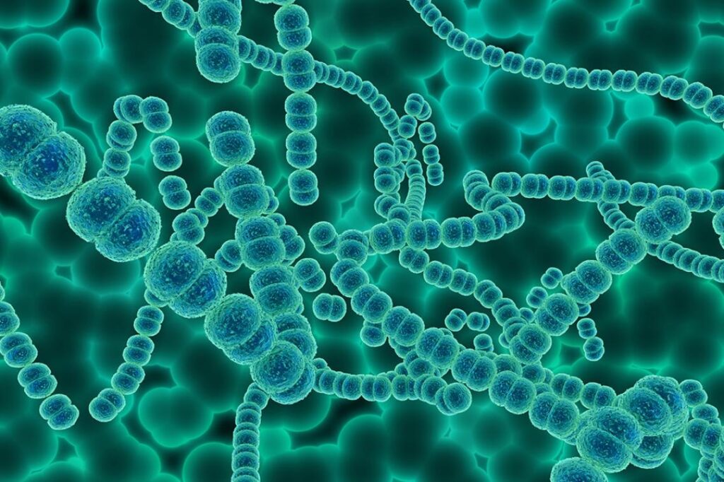 Gut Microbiome