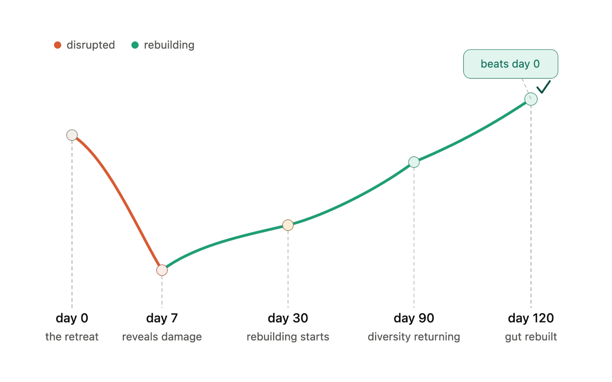 Timeline infographic showing gut microbiome recovery after disruption. The chart illustrates a decline from day 0 to day 7, followed by gradual rebuilding through day 30 and day 90, with gut health restored by day 120 through consistent microbiome support.