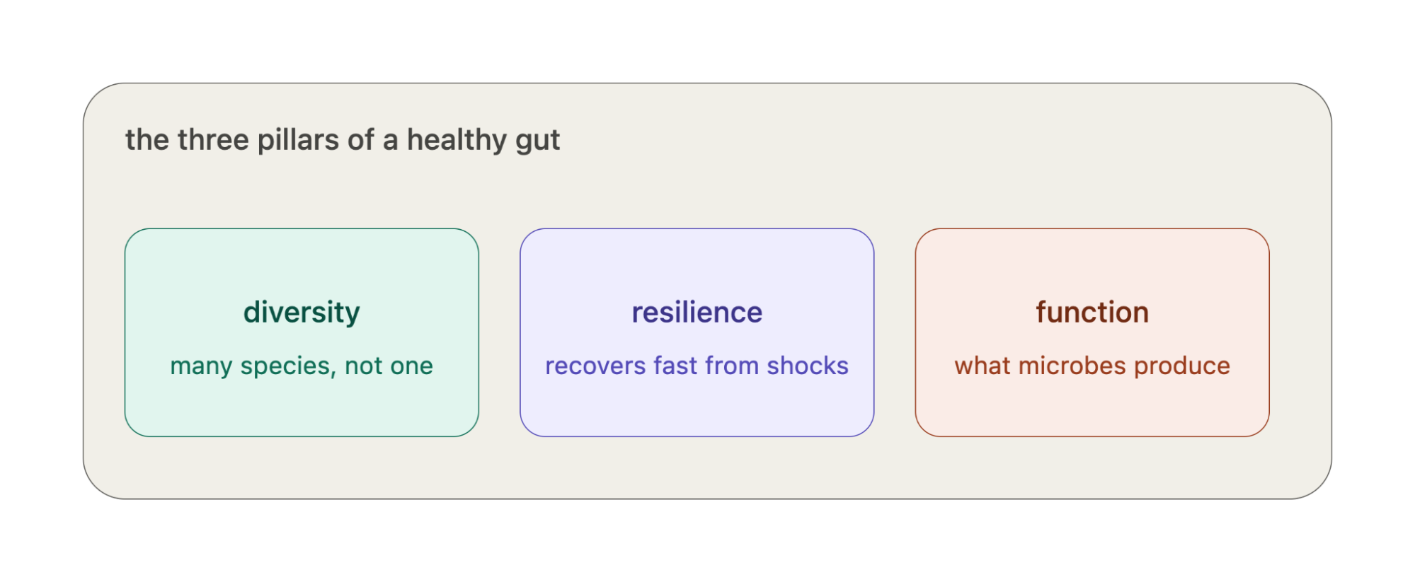 The three pillars of a healthy gut infographic showing three core elements: diversity (many species, not one), resilience (recovers fast from shocks), and function (what microbes produce) for better microbiome health.