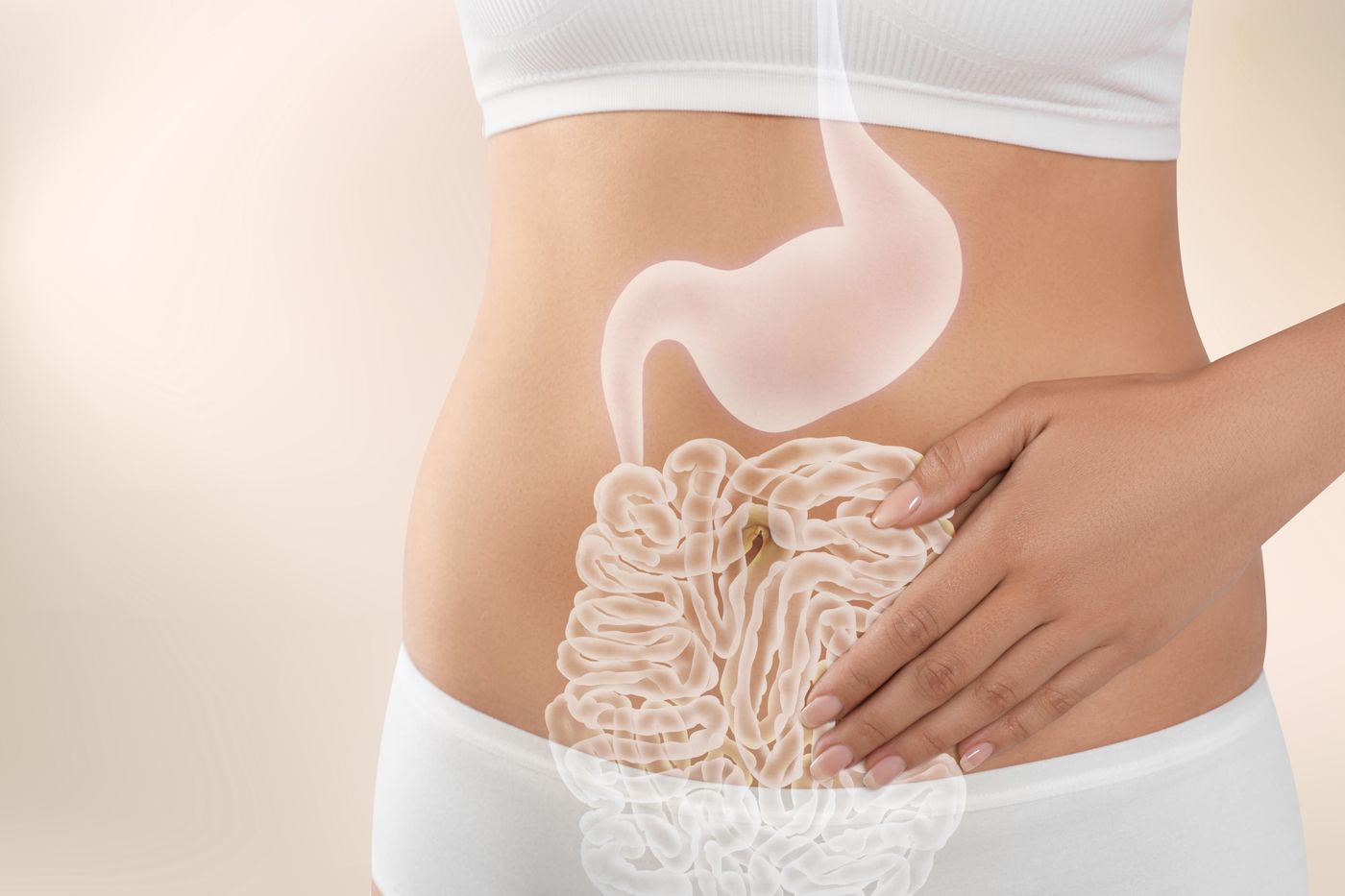 Gut Health